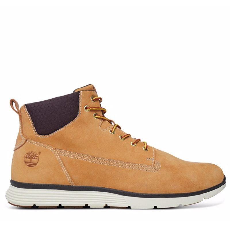 baskets homme timberland